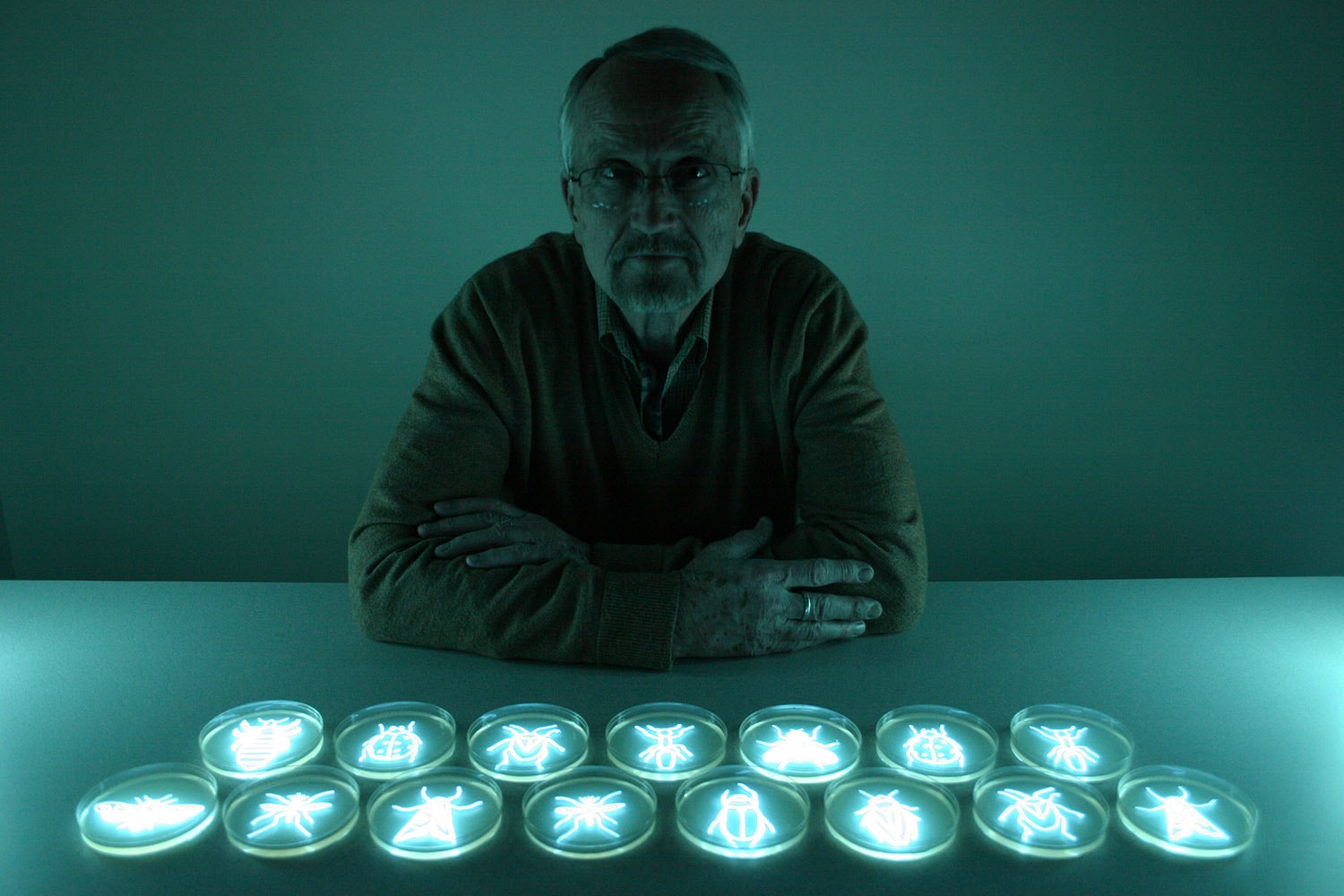 The Entomologist 1: Portrait of Bob Hamilton by Hunter Cole